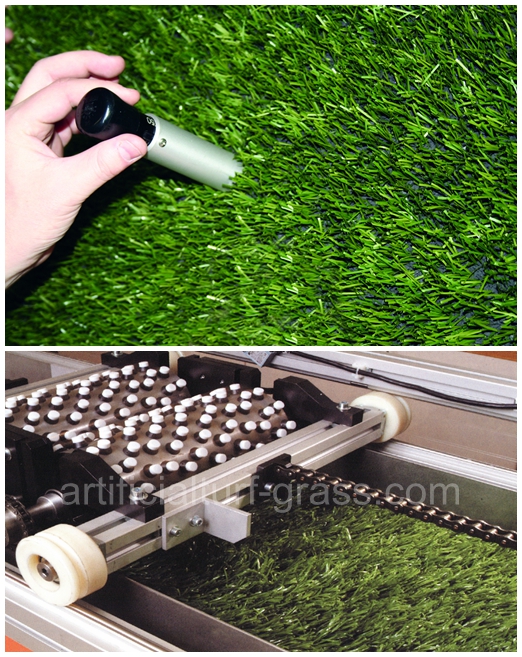 All Victory Grass (Guangzhou) Co., Ltd kwaliteitscontrole 0