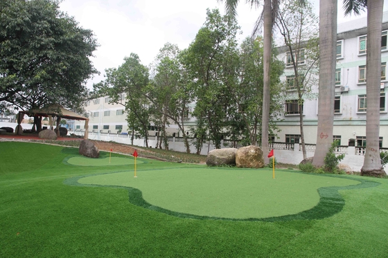 CHINA Pp + het Kunstmatige Gras van de Vachttuin met Heldere Kleur 5 Jaar Garantie leverancier