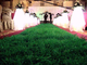 Het binnen Kunstmatige Zachte Antibacteriële Duurzame Synthetische Gras van de Grasvrije tijd leverancier
