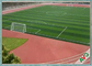 Het natuurlijke Kunstmatige Gras van de Verschijningsvoetbal/Synthetisch Grastapijt voor Voetbal leverancier